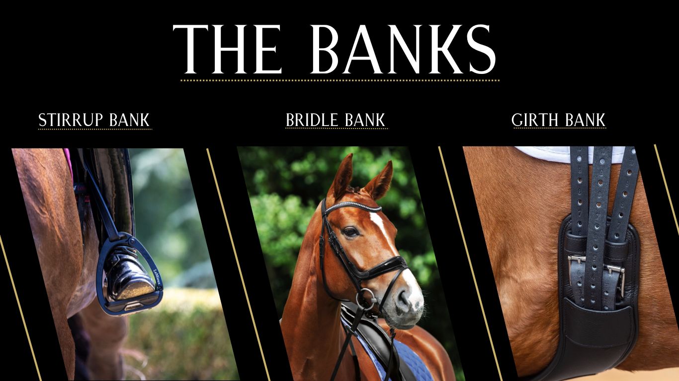 Horse tack websites discount